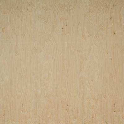 Birch plywood 18mm BB/BB