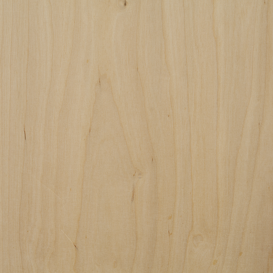 Fanera BB/BB (24x1250x2500)