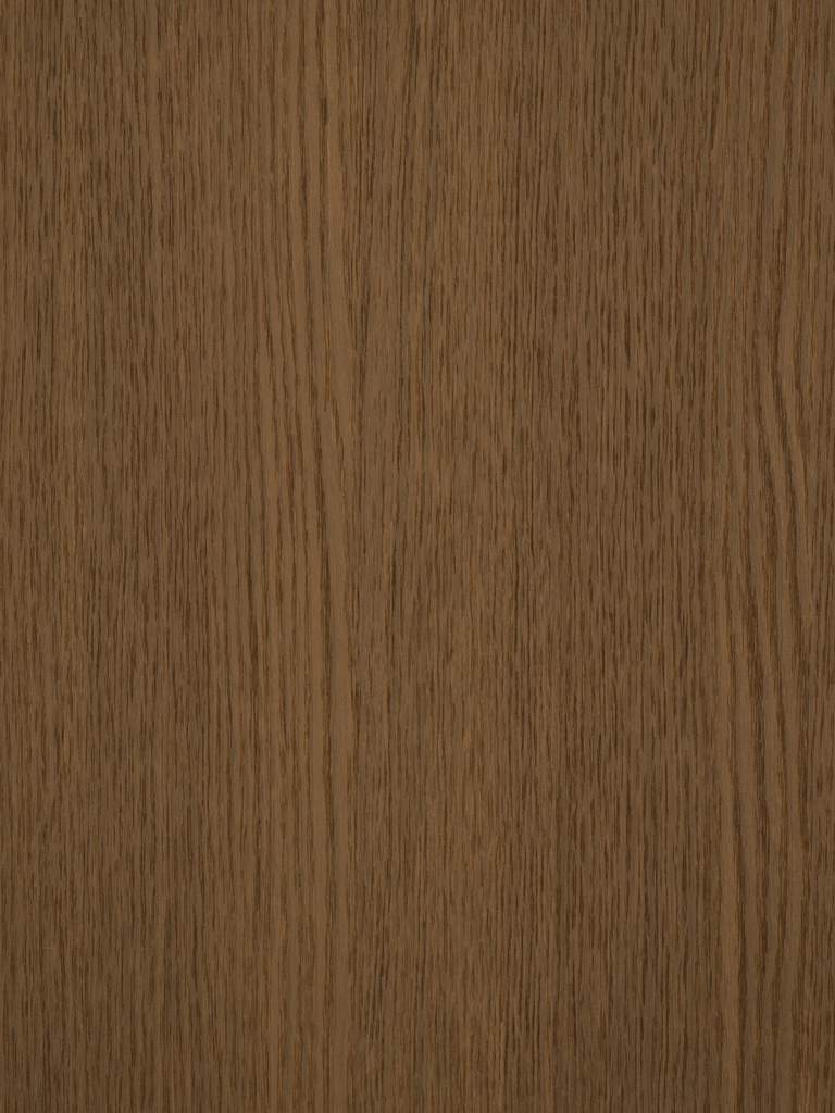 LMDP 18 S185 Quercia (1400x2070)