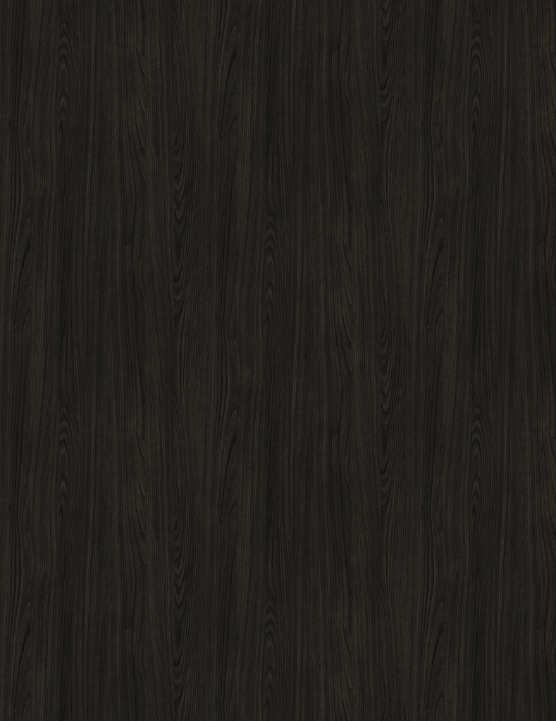 LMDP 18 S176 Corteccia (2800x2070)