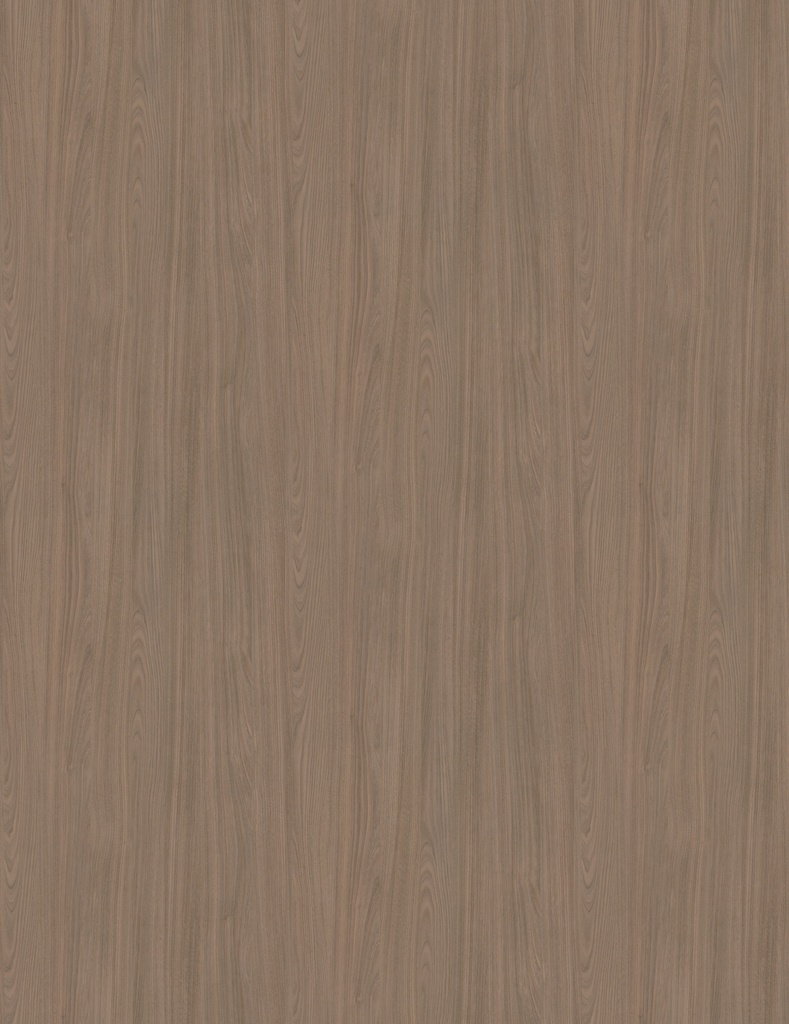 LMDP 18 S215 Corteccia (2800x2070)