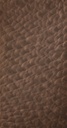 HPL 1.0 Homapal 401/229 (2440x1220)