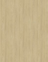 LMDP 18 S173 Corteccia (2800x2070)