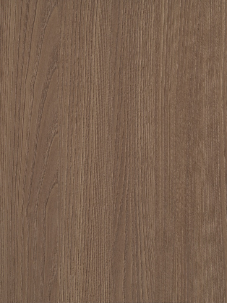 LMDP 18 S215 Corteccia (2800x2070)