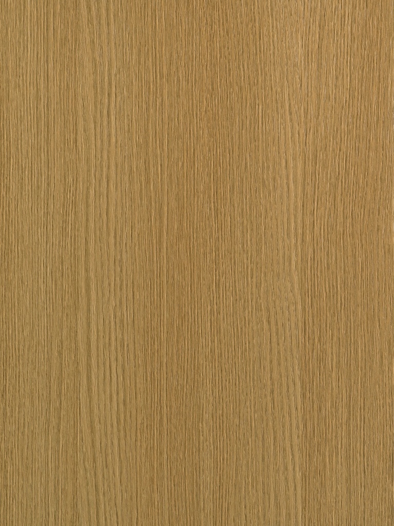 LMDP 18 S203 Quercia (1400x2070)