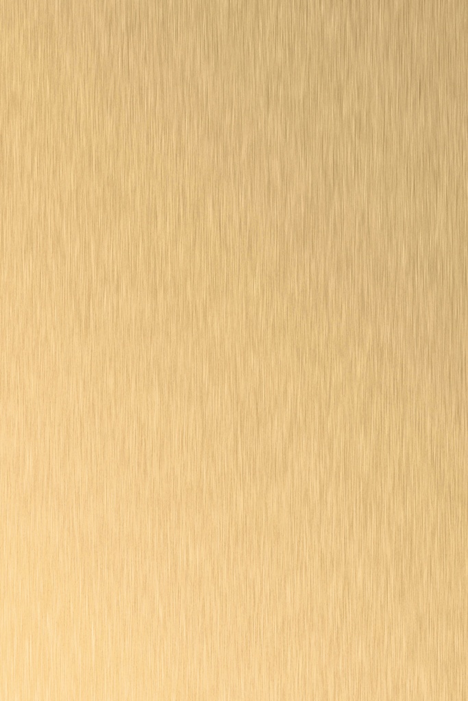 LMDF 18.7 AL04/SM Brushed gold (2800x1300)