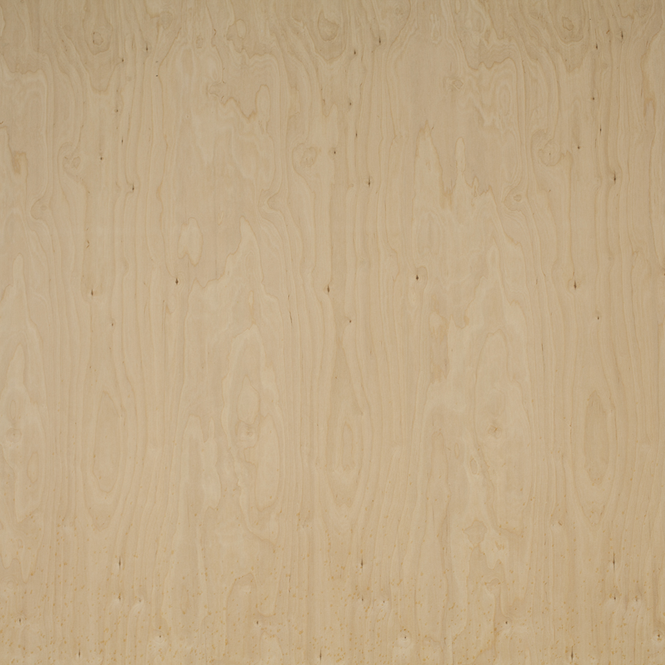 Plywood 18 BB/BB (1250x2500)