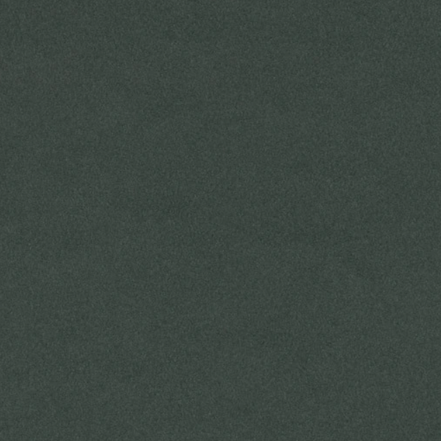 Furniture linoleum 4174 Conifer