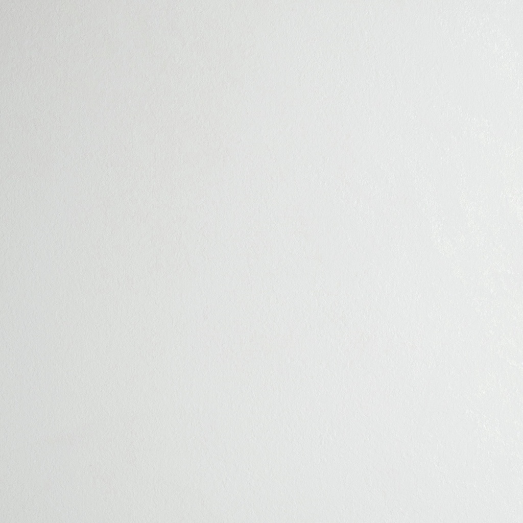 HPL strip E-Fiore Bianco AN (4200x25)