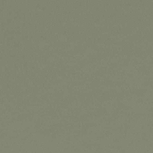 Furniture linoleum 4184