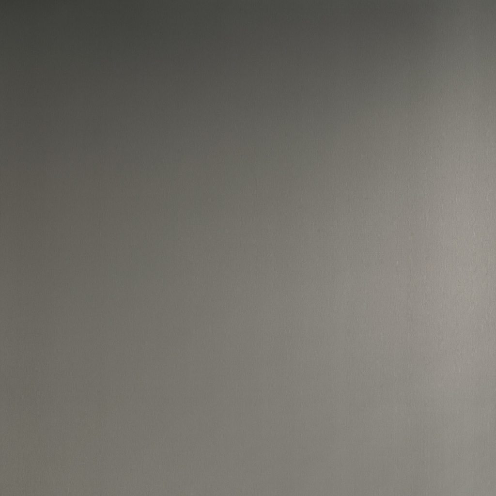 HPL 1.0 Homapal 456 Alu Brushed Medium Bronzetone (2440x1220)
