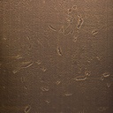 HPL 1.3 Homapal 500/502 Brass Moon (2440x1220)