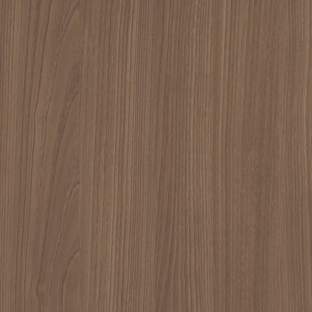 LMDP 18 S215 Corteccia (1400x2070)