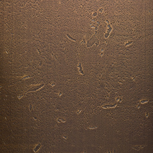 [HPL_13_500502] HPL 1.3 Homapal 500/502 Brass Moon (2440x1220)