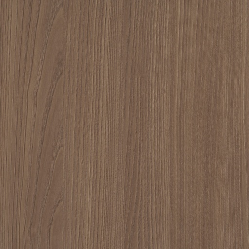 [LMDP_18_S215COR] LMDP 18 S215 Corteccia (2800x2070)