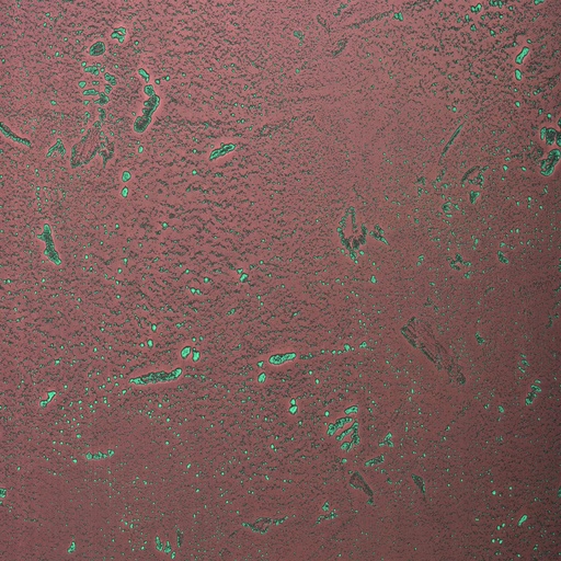 [HPL_13_635502] HPL 1.3 Homapal 635/502 Copper Moon Turquoise (2440x1220)